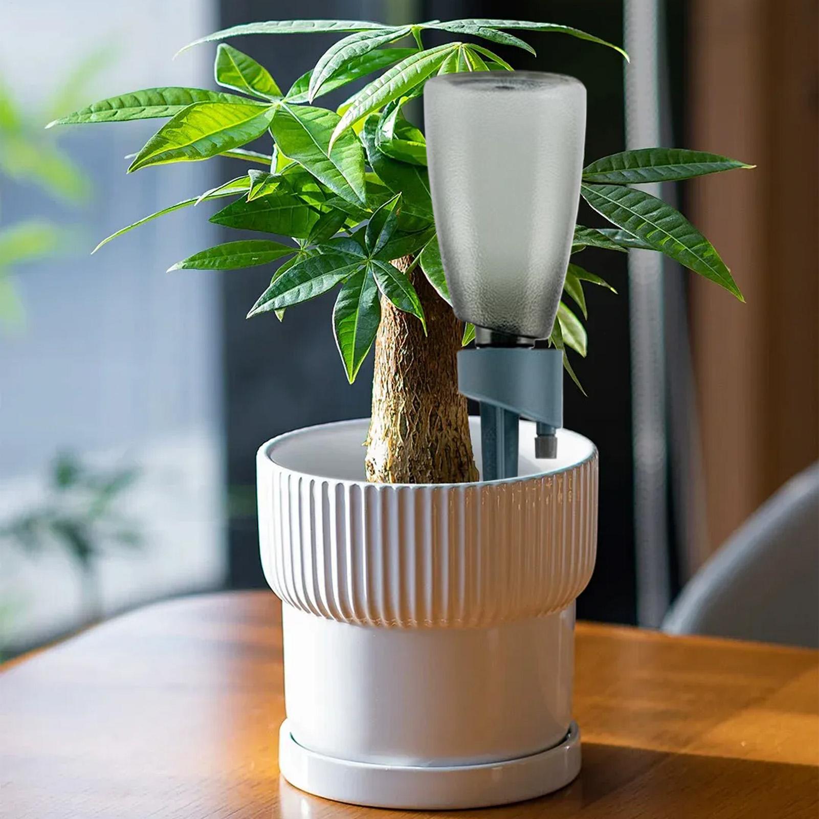 6개 자동 급수기 가정용 꽃 식물 자가 급수 장치 정원 - Self Watering Insert 리뷰 및 가격